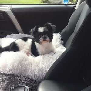 Meet your Posher, Patricia